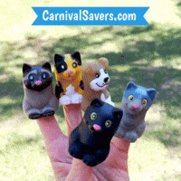 Cat Lady GIF by Carnival Savers