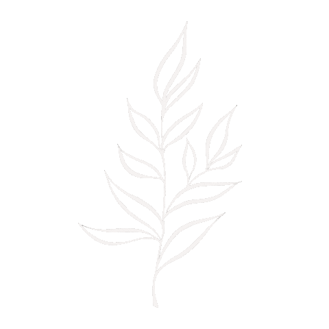 Flowers Цветы Sticker