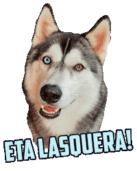 Dog Gudan Sticker by Família Turbo