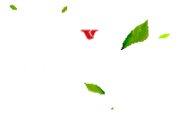 ervamatevier bom dia mate vier chimarrao Sticker
