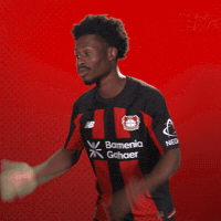Lets Go Bundesliga GIF by Bayer 04 Leverkusen