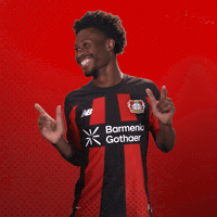 Happy Bayer 04 GIF by Bayer 04 Leverkusen