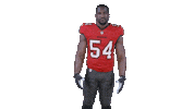 Tampa Bay Football Sticker by Tampa Bay Buccaneers