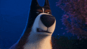 Mad Movie GIF by The Secret Life Of Pets