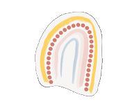 Rainbow Instagram Sticker