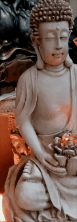 GIF animado