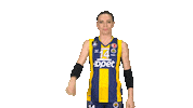 fbvoleybol volleyball fenerbahce fbvoleybol sarımelekler Sticker
