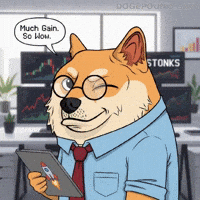 To The Moon Wow GIF by Doge Pound