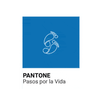 Amigadatecuenta Sticker by Pasos Por La Vida