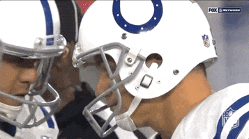 2018 Nfl Football GIF by NFL