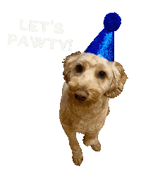 Dog Party Kebab Sticker by Bastian the Talking Terrier