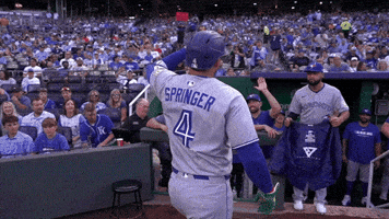 Blue Jays Baseball GIF by Toronto Blue Jays