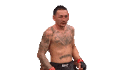 Max Holloway Ufc Sticker by Sanabul