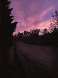 GIF by Scott Csoke