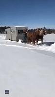 Amish Horse-Drawn Wagon Helps Remove Ice Shack From Prairie Lake