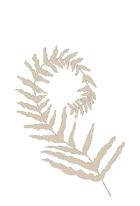 Mothers Day Flower Sticker by The Little Paper Shop