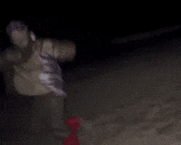 Beach Night GIF