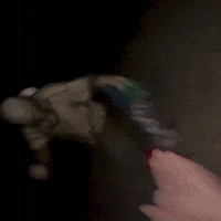 Sfshrefflo GIF