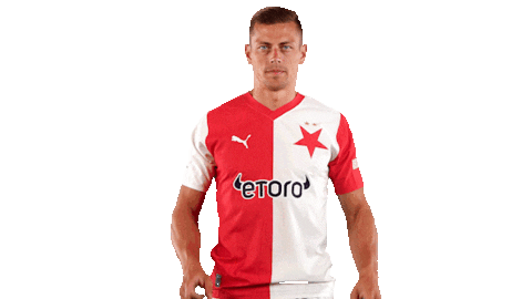 Football Soccer Sticker by SK Slavia Praha
