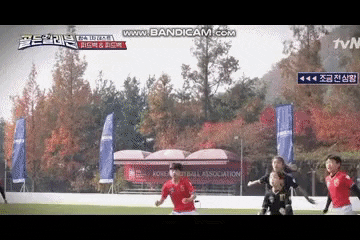 seotor_7 giphyupload GIF