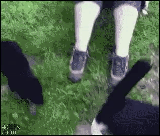 GIF by Demic