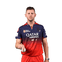 Happy Dance Sticker by Royal Challengers Bengaluru