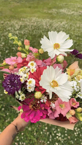 alisgarden giphyupload flowers giphycreatortest farm GIF