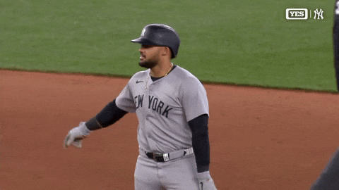 Count It New York GIF by YES Network
