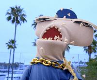 Shark Week Scream GIF by Aquarium of the Pacific