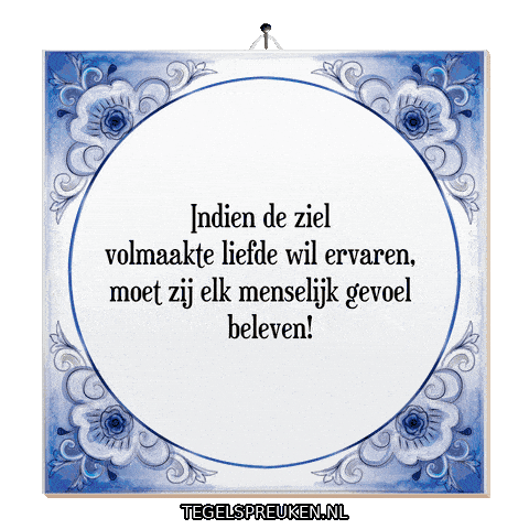 Respect Nl Sticker by Tegelspreuken.nl