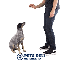 Dog Food Sticker by Pets Deli