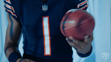 Monsters Of The Midway Smile GIF by Chicago Bears