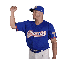 Sport Baseball Sticker by Charros de Jalisco