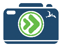 Beach Camera Sticker by ABCLegal