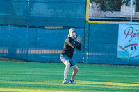 Baseball GIF by TCABB