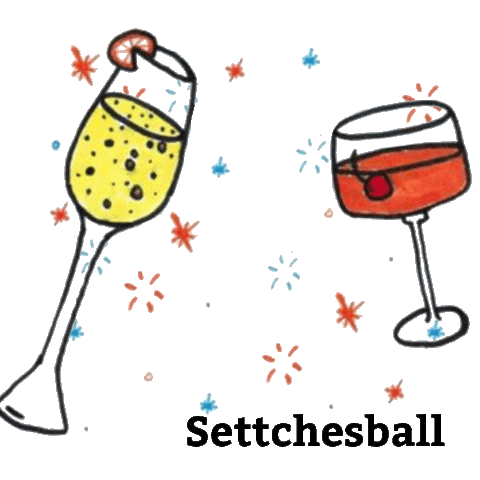 Settchesball giphyupload party karneval fastnacht Sticker