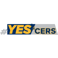 Nba Playoffs Basketball Sticker by SportsManias