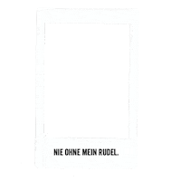 ApfelRaeuberCider party drink cheers polaroid Sticker