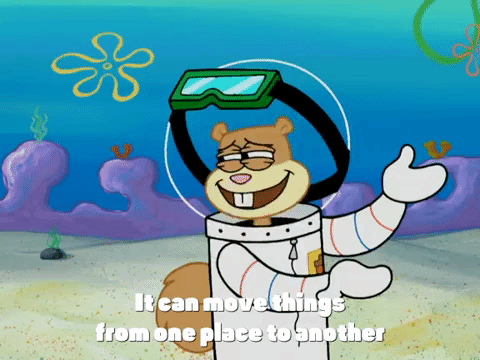 season 4 GIF by SpongeBob SquarePants