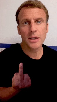 Macron Fuck You GIF by systaime
