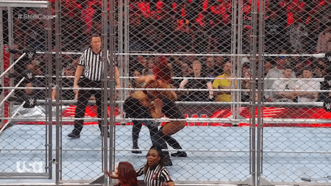 Wwe Wrestling GIF by USA Network
