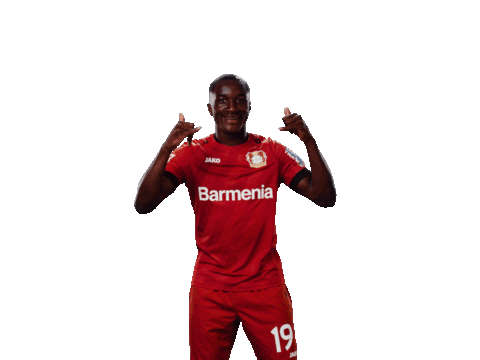 Bayer 04 Win Sticker by Bayer 04 Leverkusen