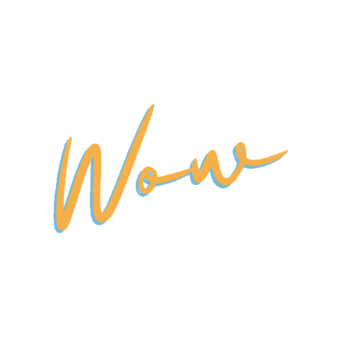 Wow Sticker by Balloon Market