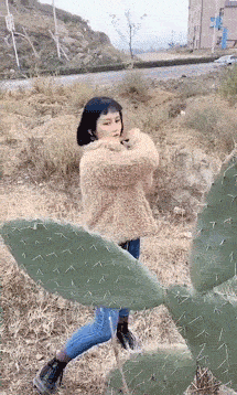 roygranot giphyupload GIF