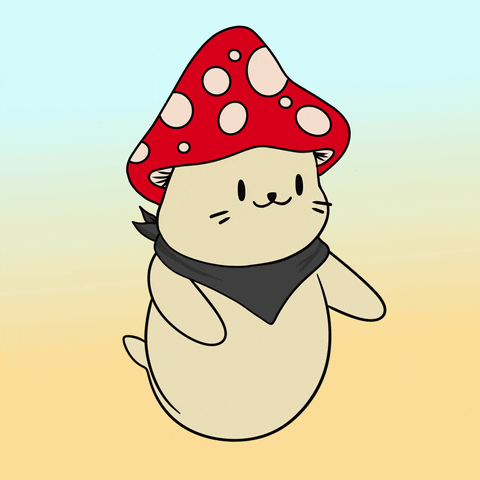 Happy Dance GIF by Sappy Seals Community