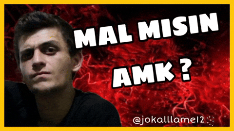 Allame GIF