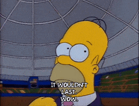 Season 2 GIF by The Simpsons