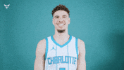 Hive Mentality Lamelo Ball GIF by Charlotte Hornets
