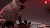 Doug The Pug Halloween GIF by BuzzFeed