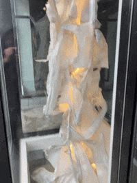 GIF by Alex Boya